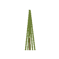 Cimbru